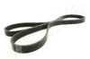 ASHIKA 112-6PK2120 V-Ribbed Belts